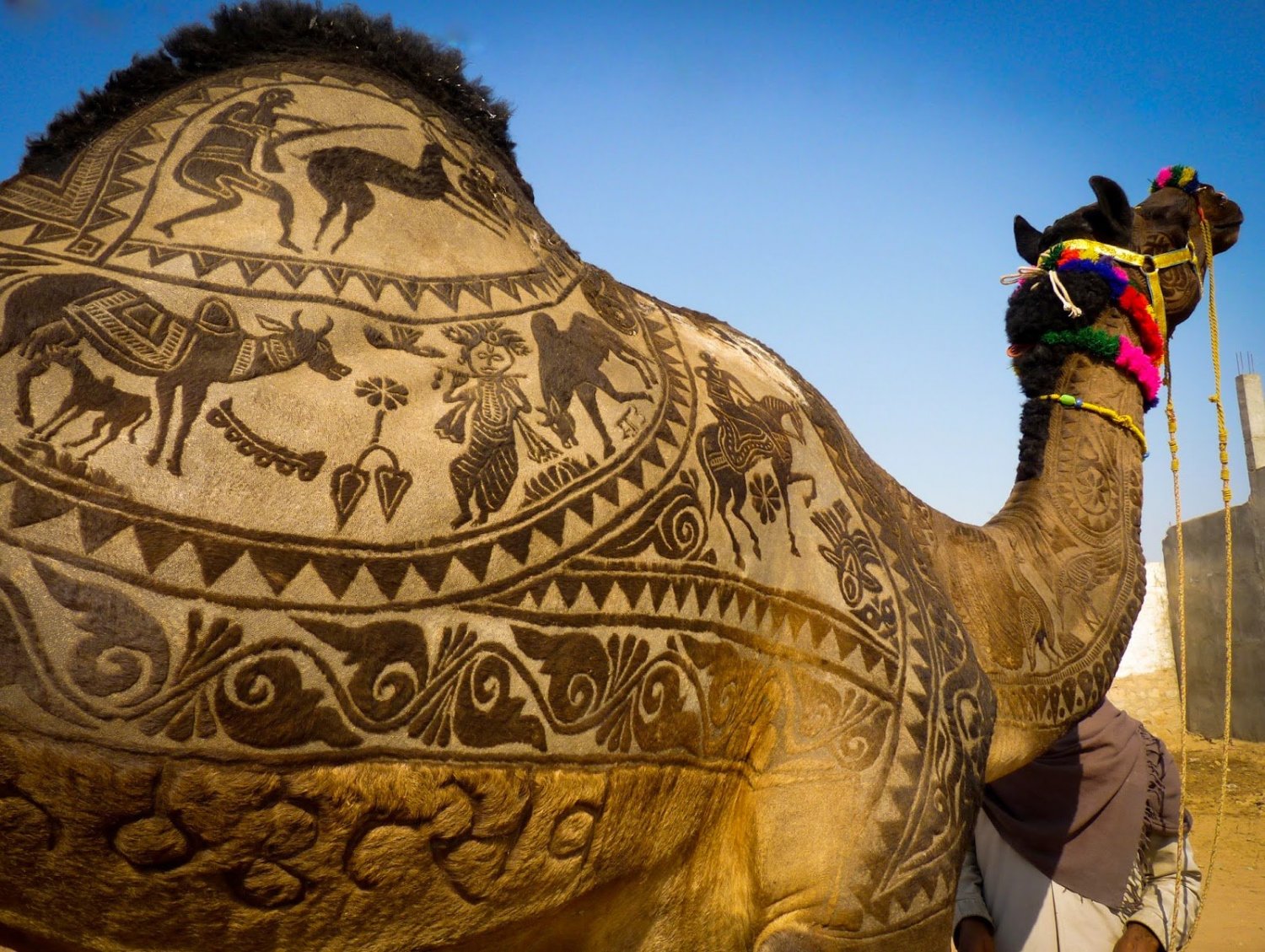 Pushkar-Camel-Fair_2.jpg